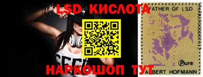 крисы Берёзовский