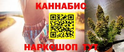 дмт Бийск