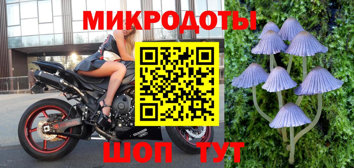 Галлюциногенные грибы GOLDEN TEACHER  Псилоцибиновые грибы прущие грибы  Киселёвск  Вход с VPN 